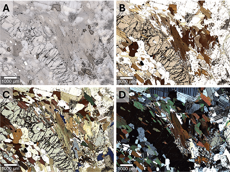 Biotite mineral imaged using polarization-resolved white-light microscopy