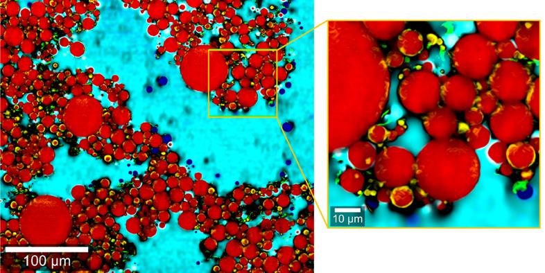 EmulsionDuschgelOel 2zooms web