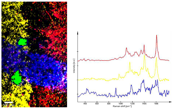 Imagen Raman y espectros de tinta de impresora y bolígrafo sobre papel.