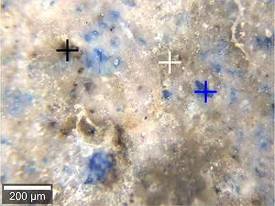 alphaCART Medición de fresco romano - Imagen BF