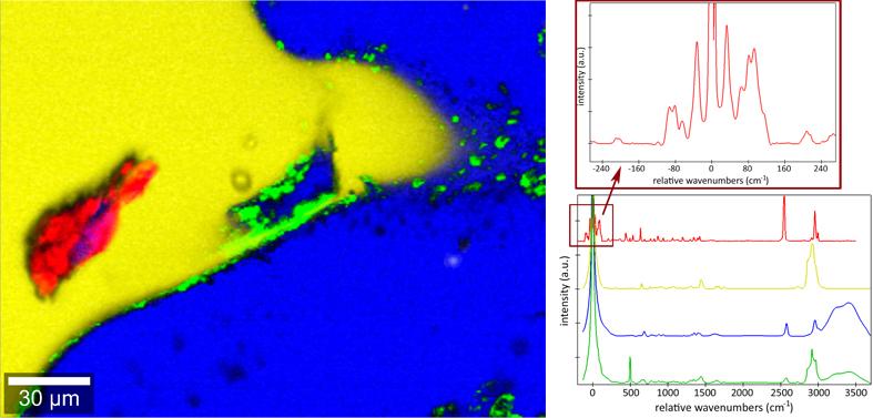 RayShield L-Cysteine