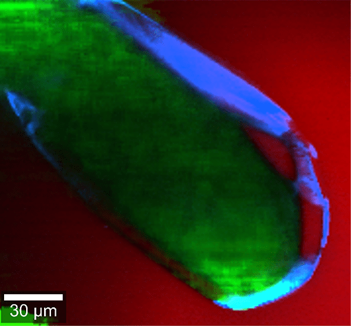 Diamond inclusion Raman image