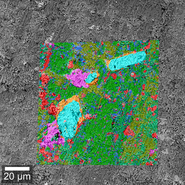 Geología - WITec Raman Imaging - Oxford Instruments