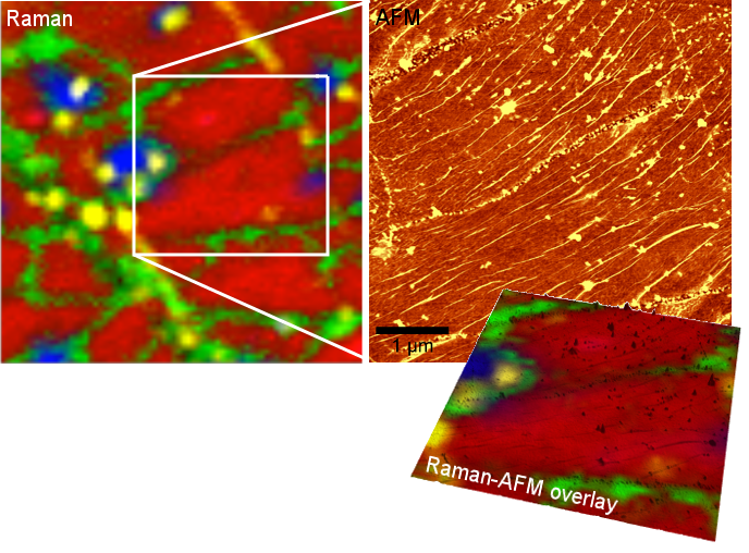 Imágenes Raman y AFM, sobre la misma región de la muestra. Muestra: Película de Grafeno depositado por Deposición Química de Vapor (CVD).