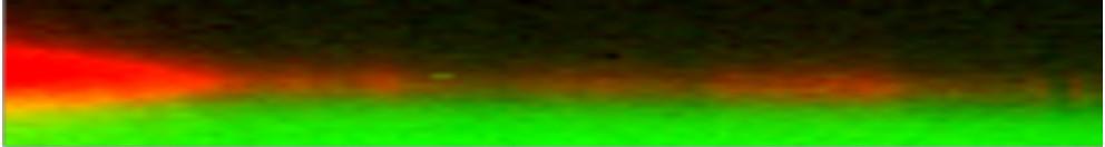 Barrido Raman en profundidad, en dirección Z, de un recubrimiento de aceite (en rojo) en la superficie interna de una jeringa de vidrio.