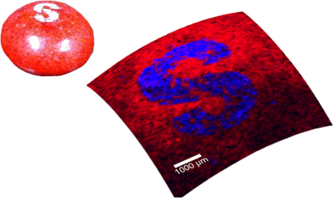 WITec Topographic Raman Food Coating