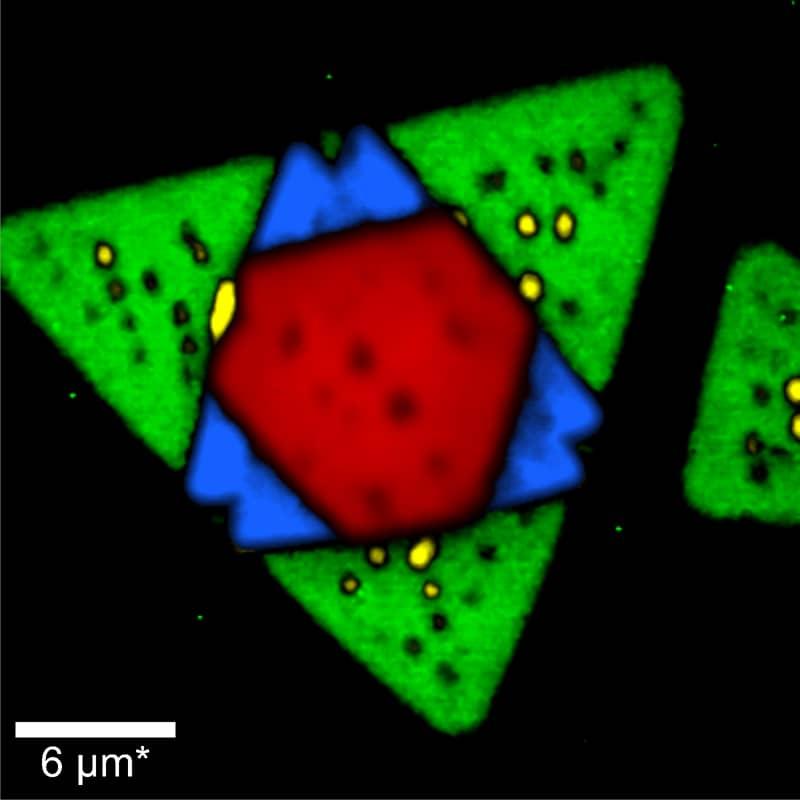 Cryoraman Microscopio De Raman Imaging Criogénico Witec Raman Imaging Oxford Instruments 7476