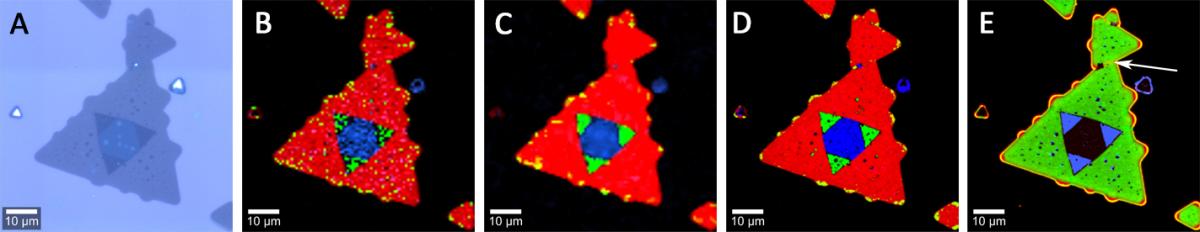 WSe2 fast scanning web