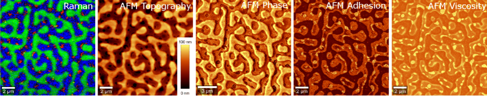 alpha300RA Raman AFM polymers